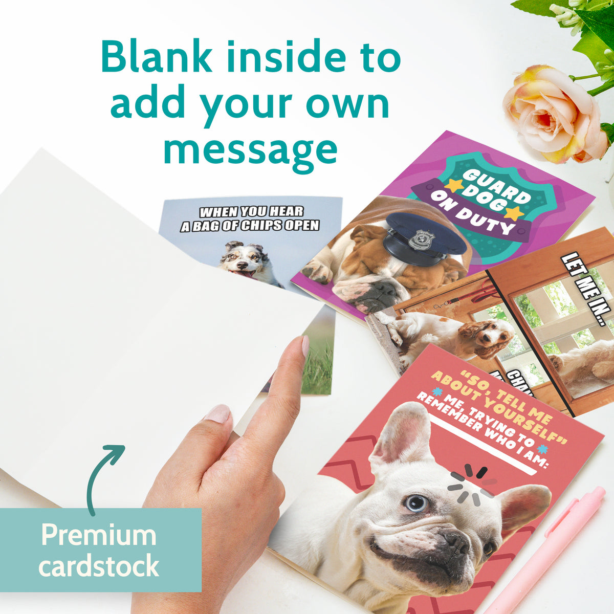 24 Funny Dog Meme Greeting Cards with No Repeats - Clean Humor Dad Jok ...