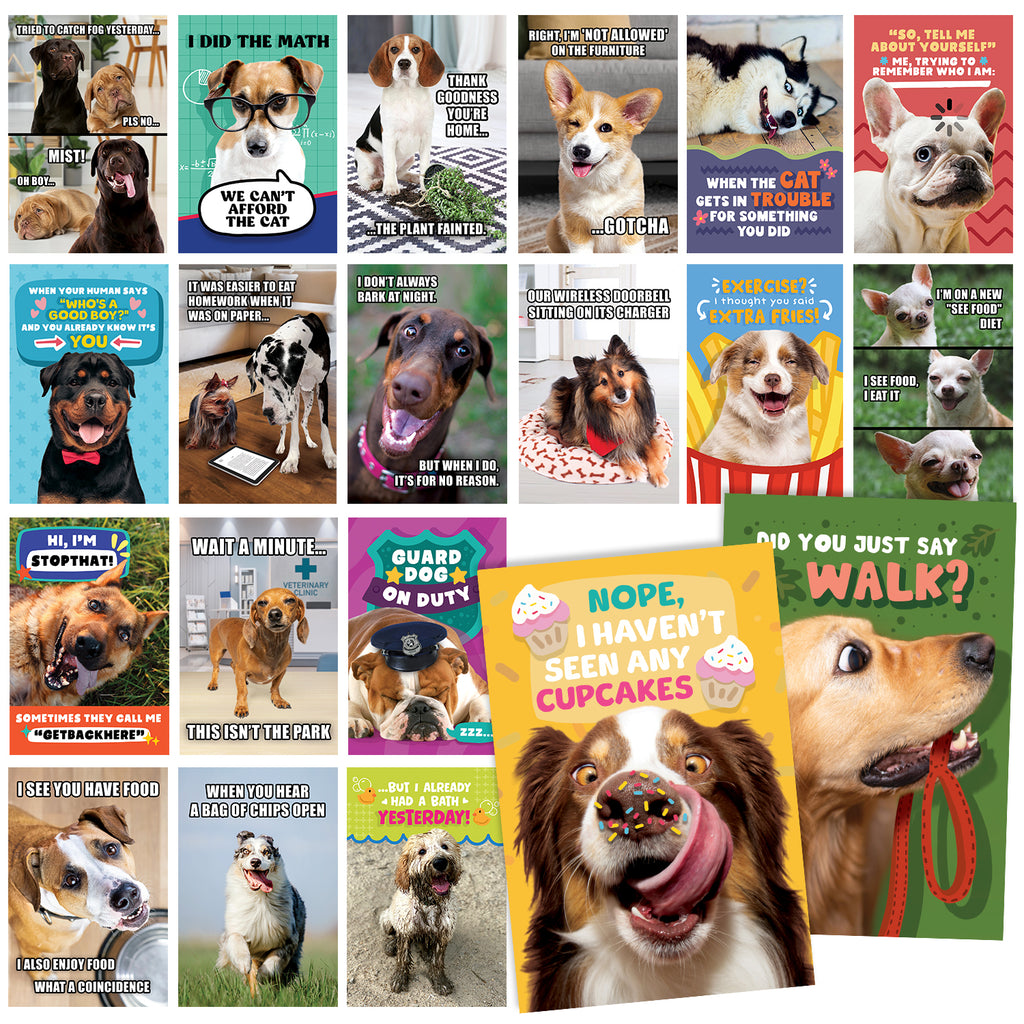 40 Funny Dog Meme Postcards - 4x6” Clean Humor Dad Joke Post Cards for Friends, Kids, Grandkids, Students, and Teachers, Lunchboxes, Summer Camp and More - Bulk Thinking of You Animal Cards