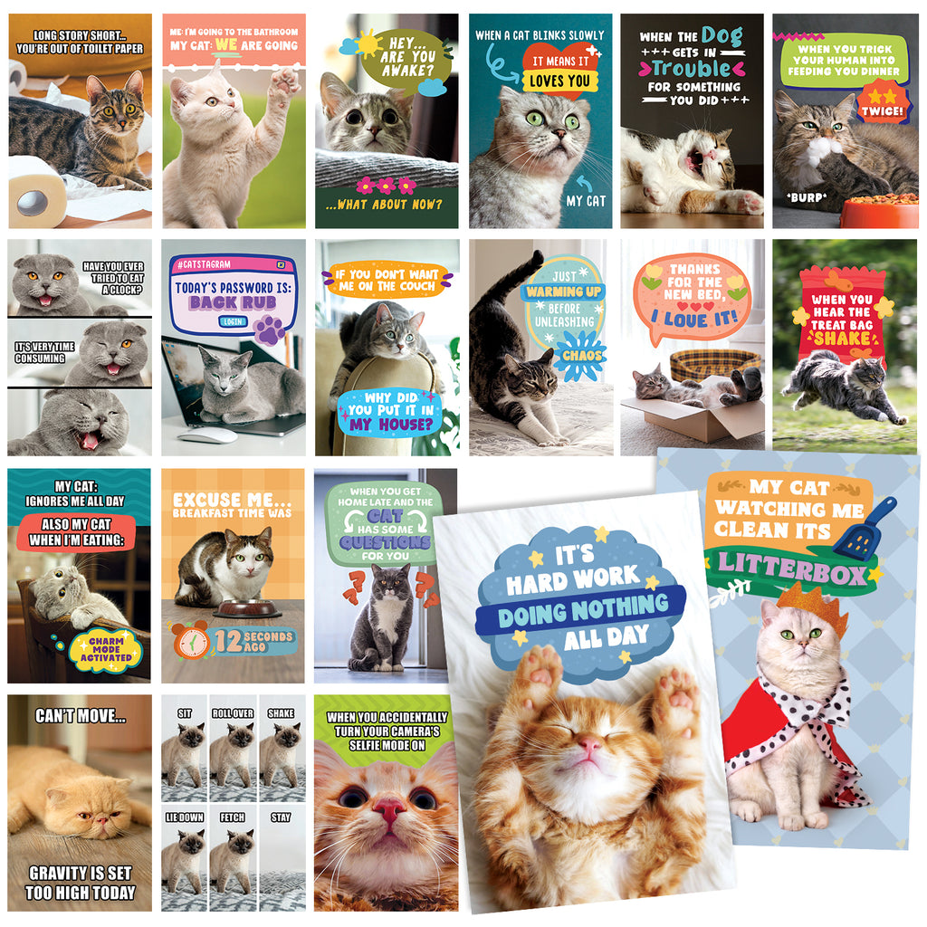 40 Funny Cat Meme Postcards - 4x6” Clean Humor Dad Joke Post Cards for Friends, Kids, Grandkids, Students, and Teachers, Lunchboxes, Summer Camp and More - Bulk Thinking of You Animal Cards
