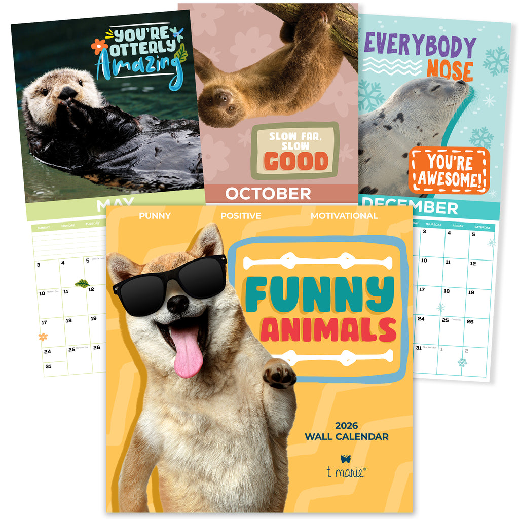 clean humor, family friendly, calendar for kids, family calendar, dad jokes wall calendar funny calendars for fun 2026 - monthly adult adults women month small office calanders calender hilarious silly work meme hanging sarcasm teacher cow motivational mullet womens punny simpsons unique disney themed kids humorous animal cartoon pun character jokes animals humor novelty food doctor who graphic calendario dog kid calander pet calendat popular cool positive men nerdy positivity a day natures sayings inspirat